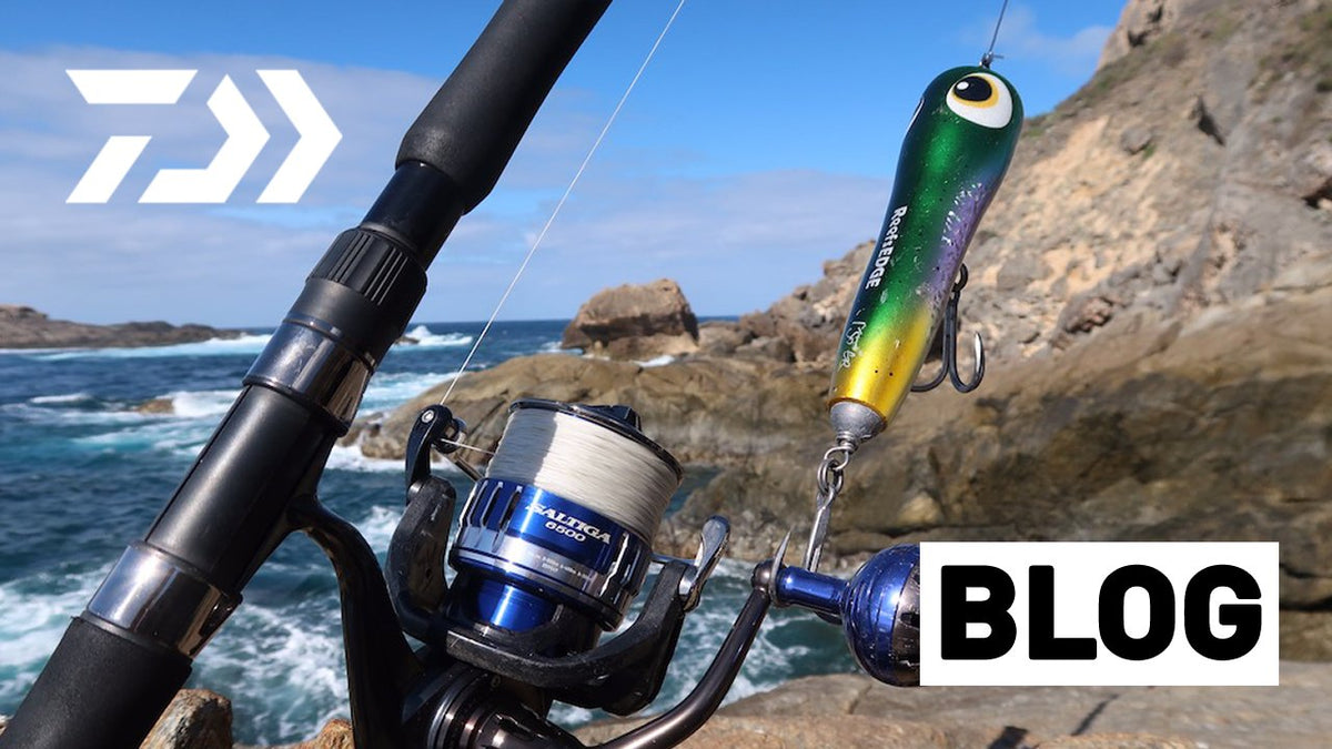 Spinning Reel Ratios (High V Low)- choosing the right speed Daiwa US Spinning Reel Ratios (High V Low)- choosing the right speed Daiwa US