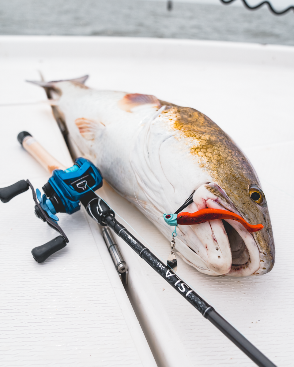 Fly Fishing Gear Best Inshore Casting Rod The Best Saltwater Fly Rods, Expert Tested Fly Fishing Gear Best Inshore Casting Rod The Best Saltwater Fly Rods, Expert Tested