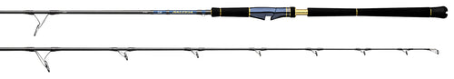 SALTIGA JIGGING RODS