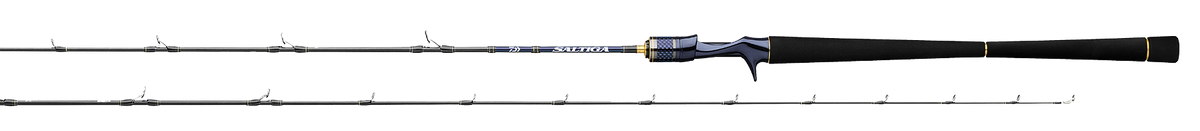 SALTIGA LIGHT JIGGING – Daiwa US