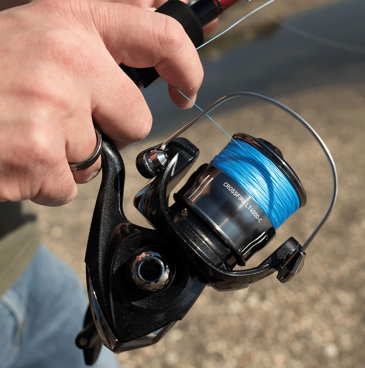 CROSSFIRE LT – Daiwa US