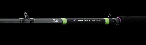 2025 PROREX STEIN
