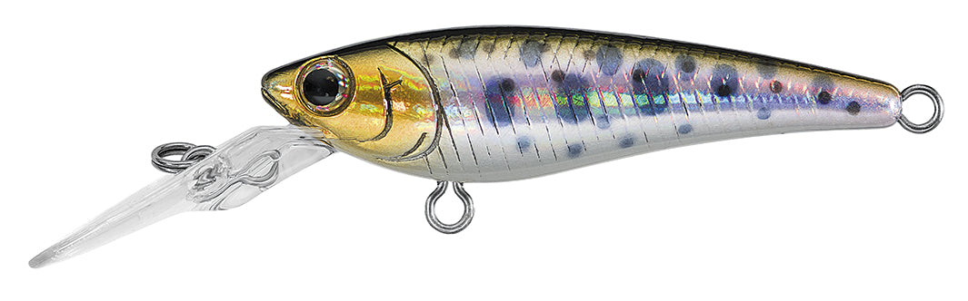SC SHAD – Daiwa US