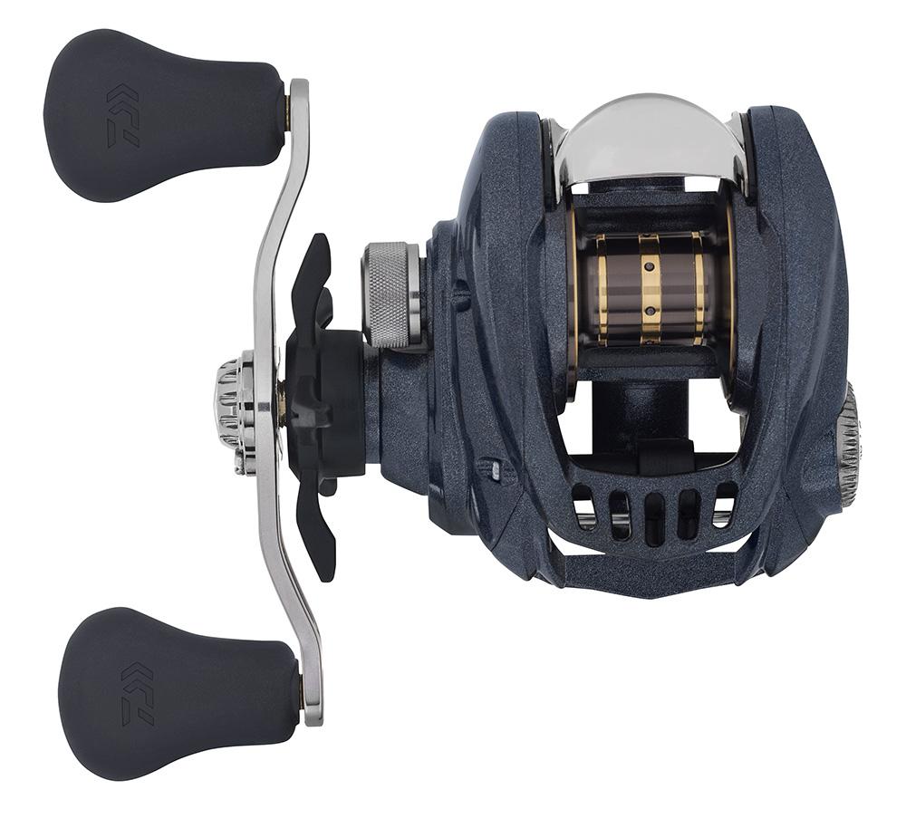 Daiwa Aird Baitcasting Reel, 8+1 Ball Be 