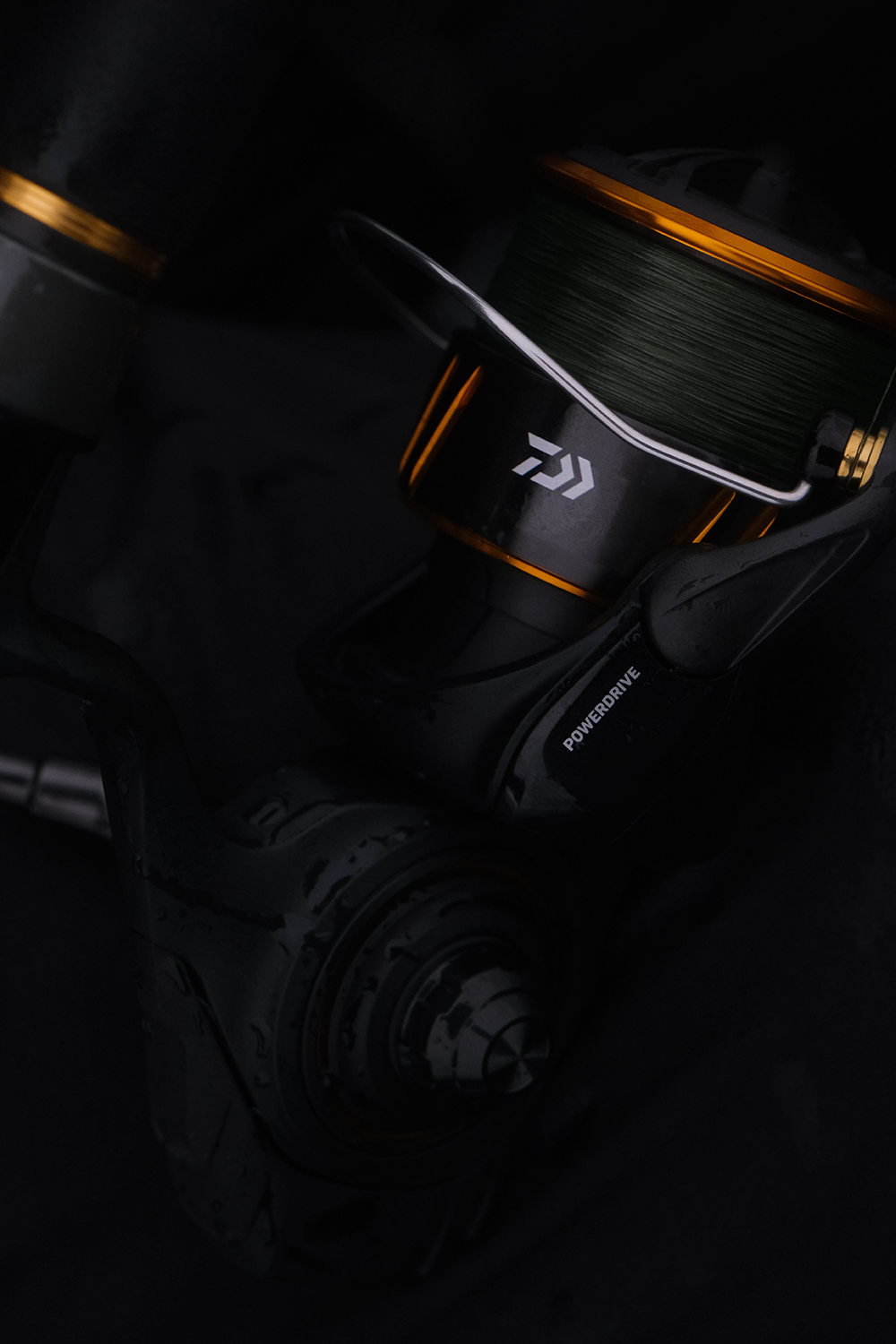 2026 BG LT SPINNING – Daiwa US