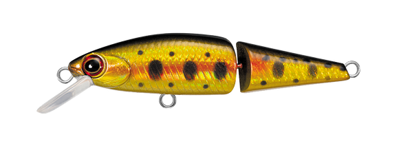 FRESHWATER LURES – Daiwa US