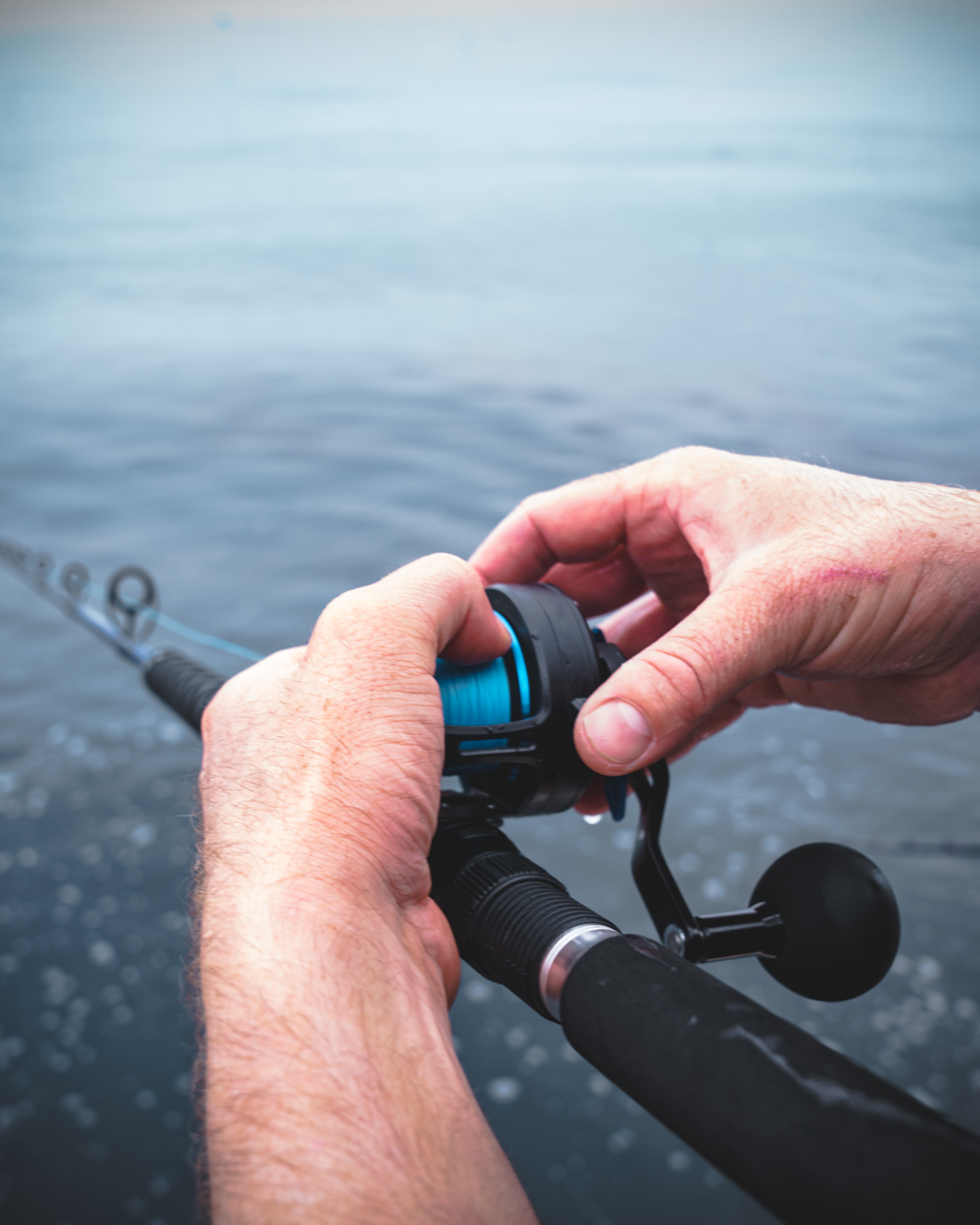 SALTIST BOAT RODS Daiwa US