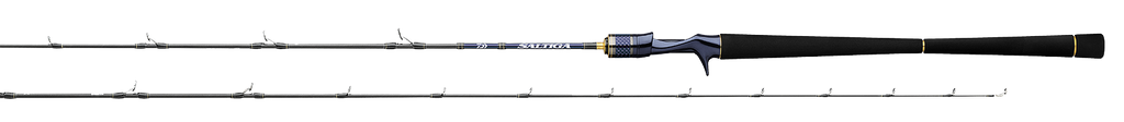 SALTIGA LIGHT JIGGING – Daiwa US
