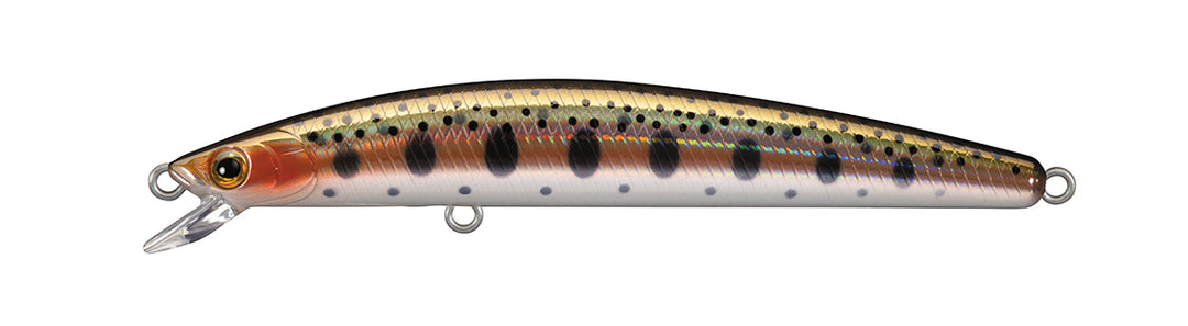 3 3/4" / WILD RAINBOW
