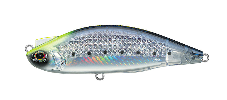 1 OZ / Chart Head Sardine