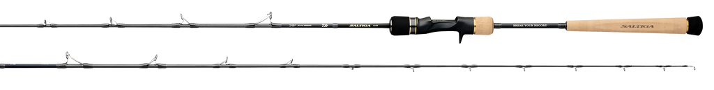 SALTIGA SLOW PITCH JIGGING – Daiwa US