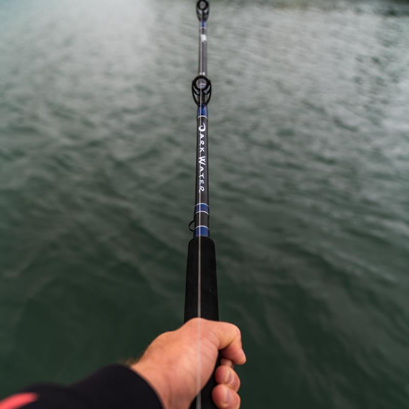 Carbon Fishing Rod Sea Pulley, Sea Trolling Fishing Rods
