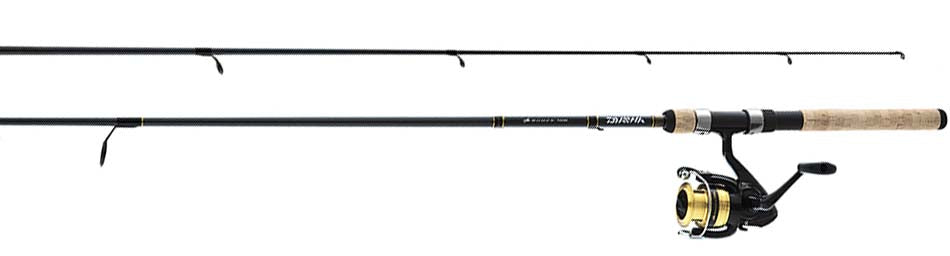 best daiwa rod and reel combo E-Rod Elite this Daiwa D Reel Combo Best Rod For