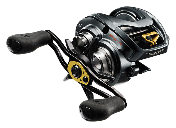 Daiwa Steez Reels - Everything You Need to Know!